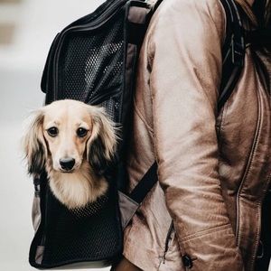 timbuktu dog backpack